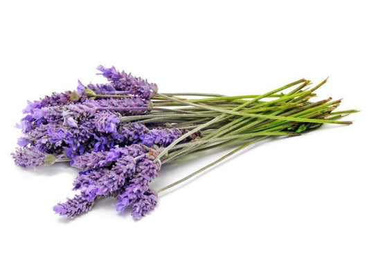 Lavender Incense Cones (relaxation, calm)